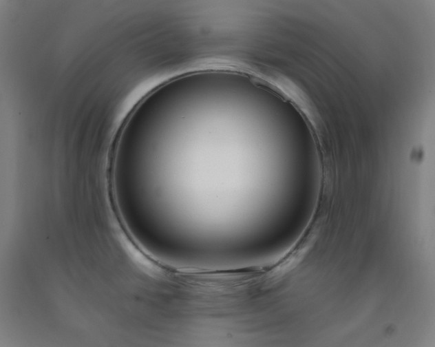 X0000092251438200709281135