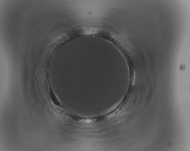 X0000092251441200709281135