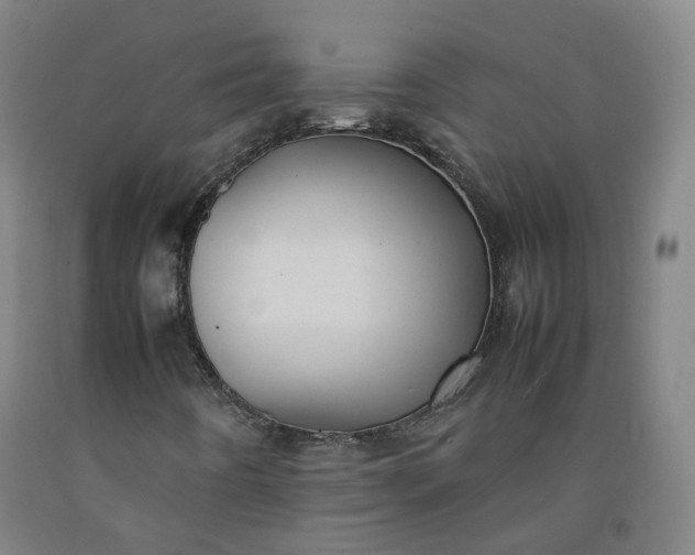 X0000092251442200709281135