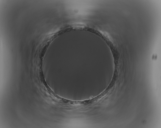 X0000092251445200709281134