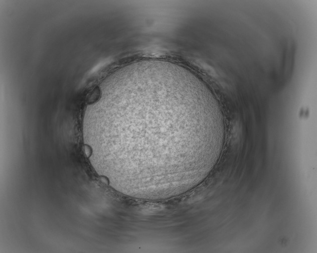 X0000092251446200709281134