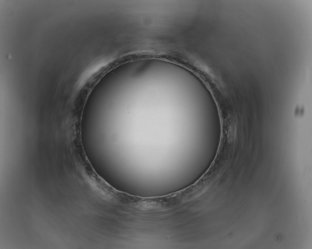 X0000092251448200709281134