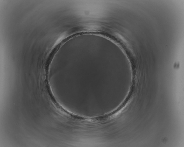 X0000092251449200709281134