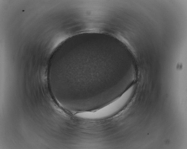 X0000092251450200709281134