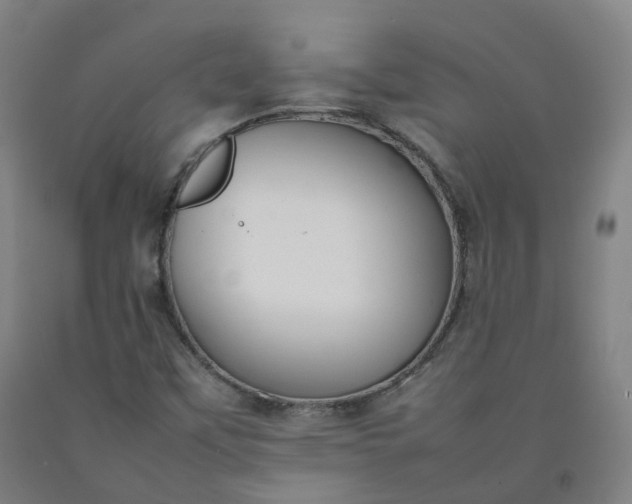 X0000092251451200709281134