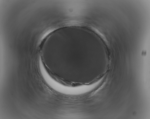 X0000092251453200709281134