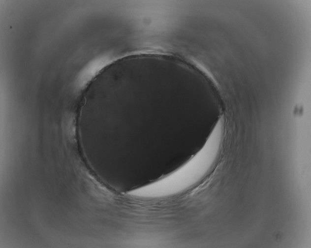 X0000092251455200709281134