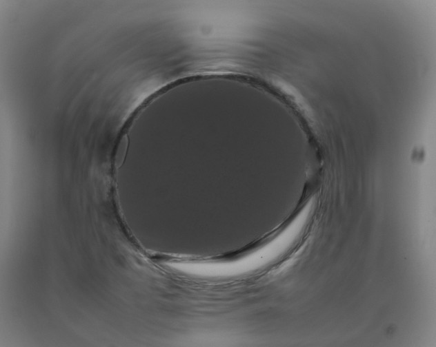 X0000092251457200709281134