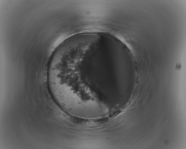 X0000092251459200709281134