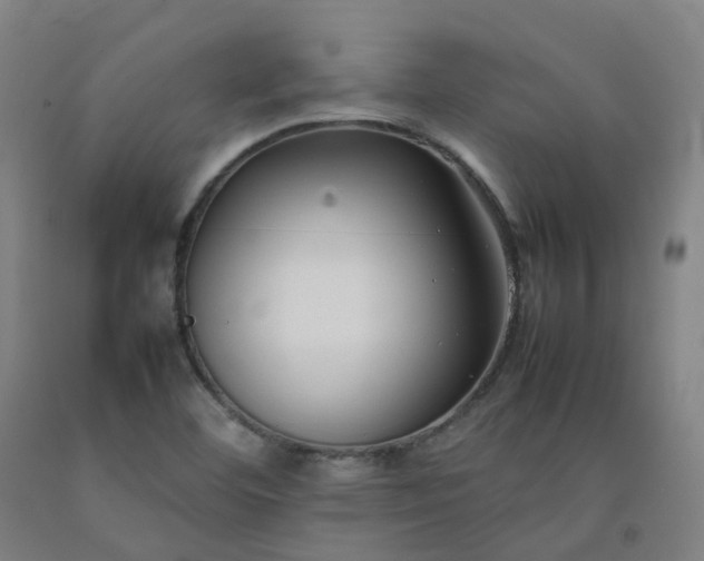 X0000092251460200709281134