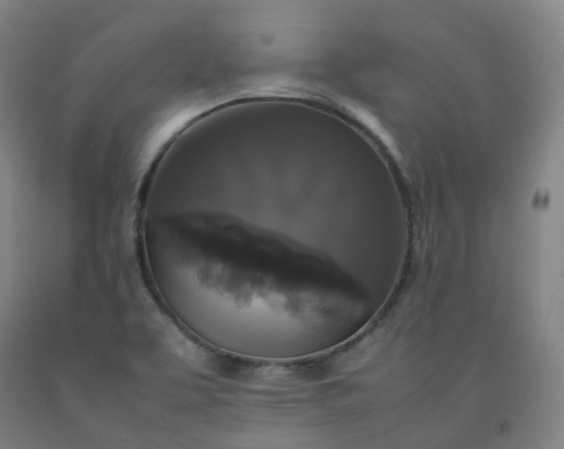 X0000092251463200709281134