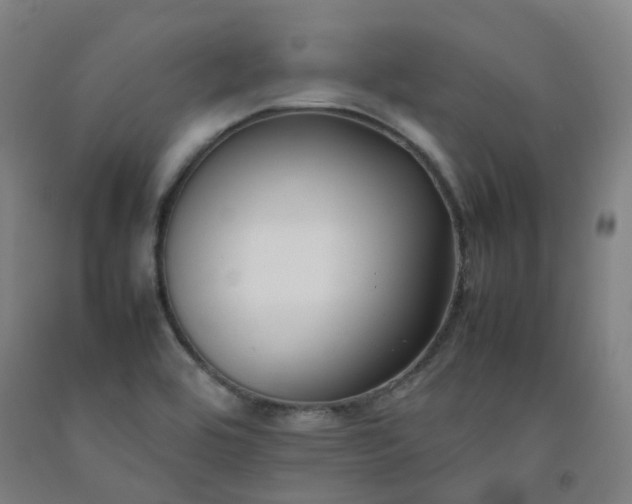 X0000092251464200709281134