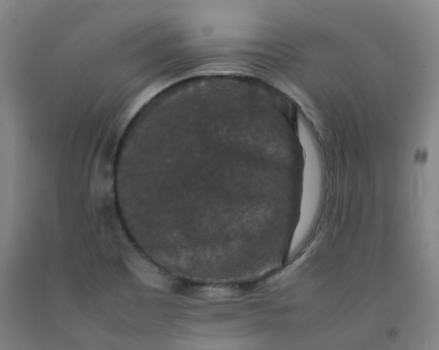 X0000092251465200709281134