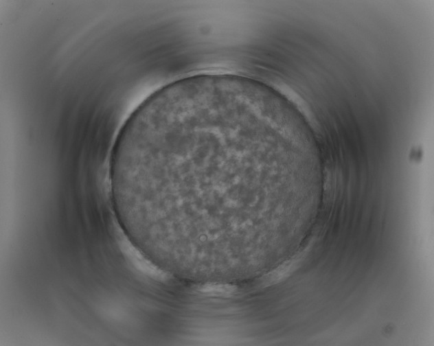 X0000092251466200709281134