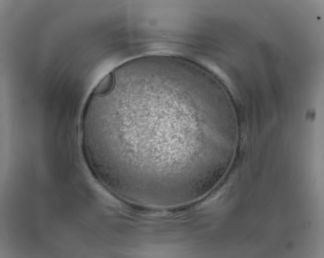 X0000092251467200709281134