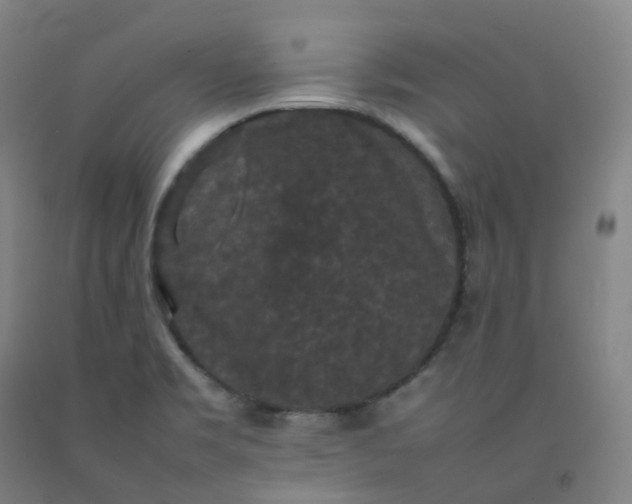 X0000092251469200709281134