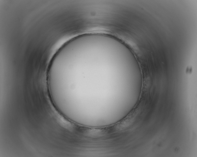 X0000092251470200709281134