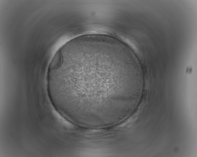 X0000092251471200709281134