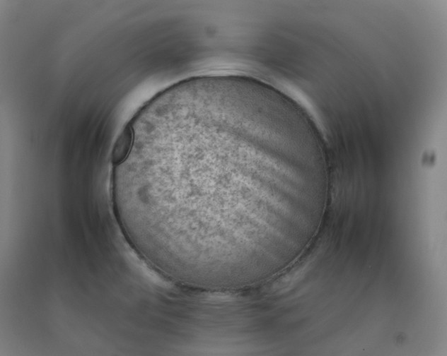 X0000092251472200709281134