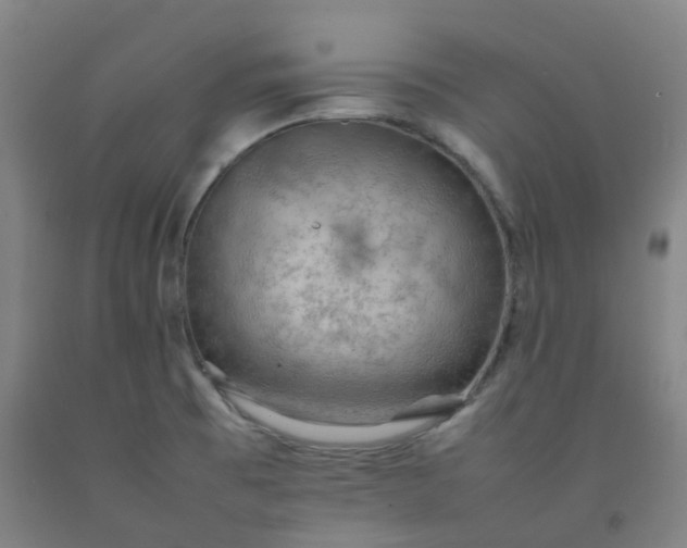 X0000092251473200709281134