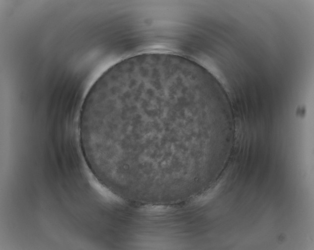 X0000092251474200709281134