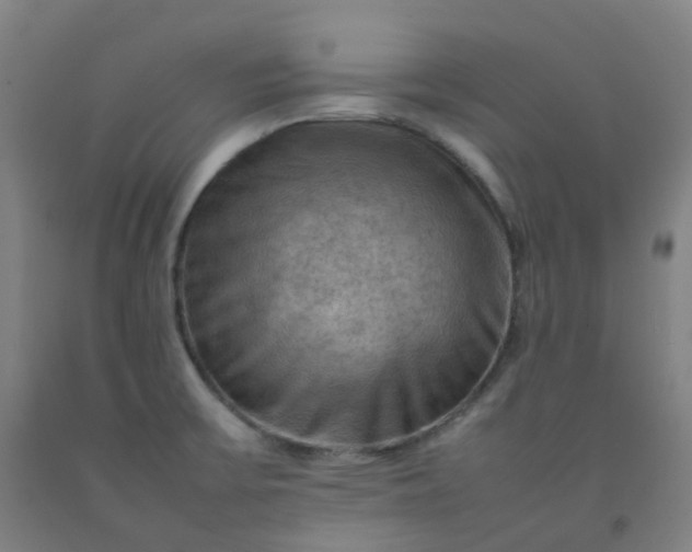 X0000092251475200709281134