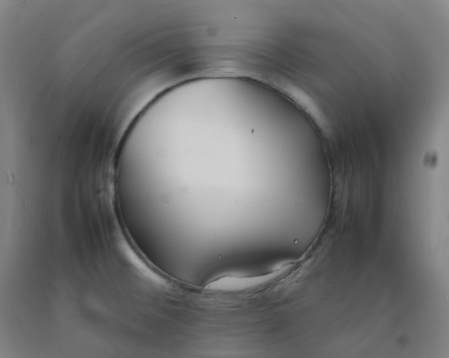 X0000092251476200709281134