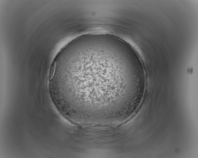 X0000092251477200709281134