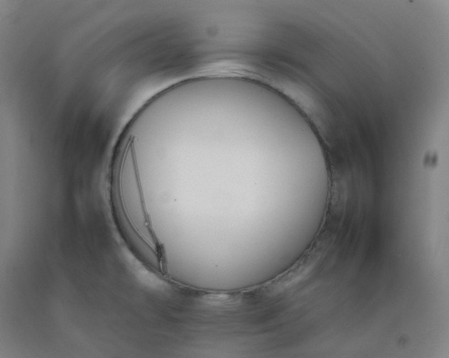 X0000092251478200709281134