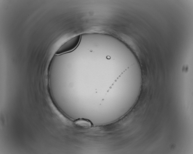 X0000092251479200709281134