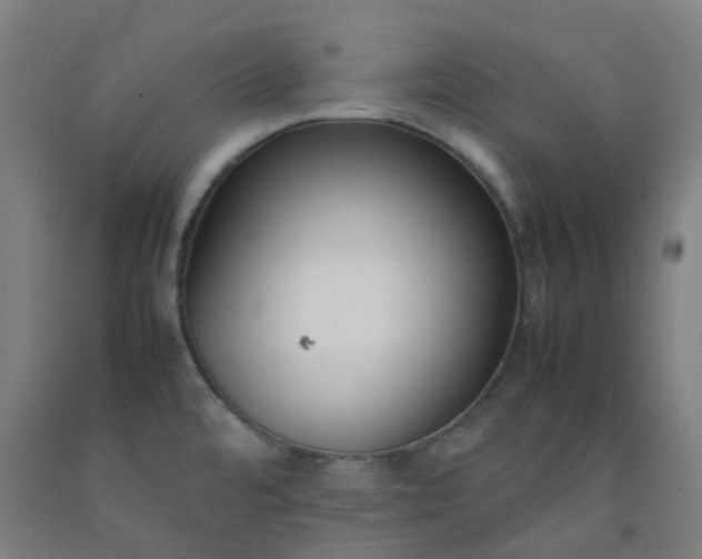 X0000092251480200709281134