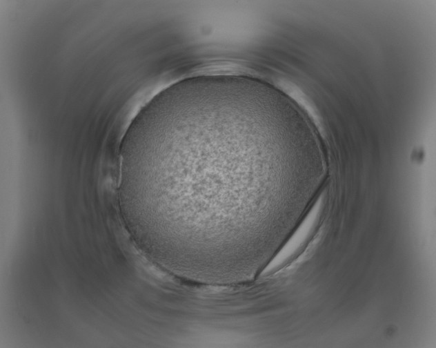 X0000092251481200709281134