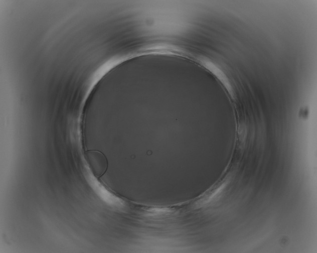 X0000092251482200709281134