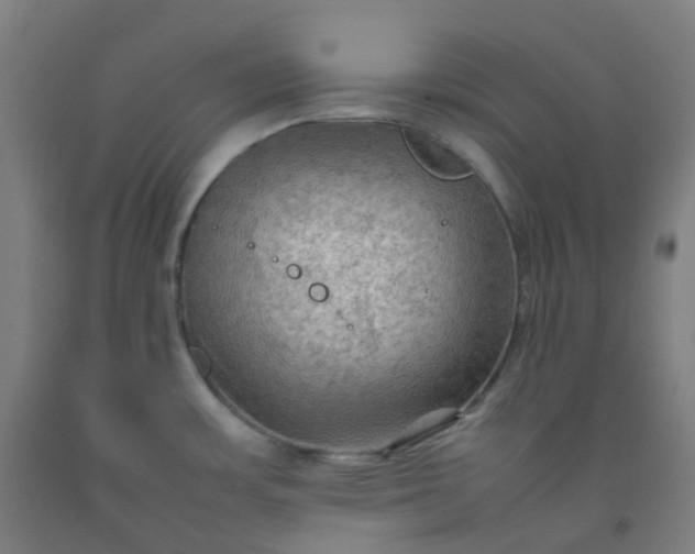 X0000092251483200709281134