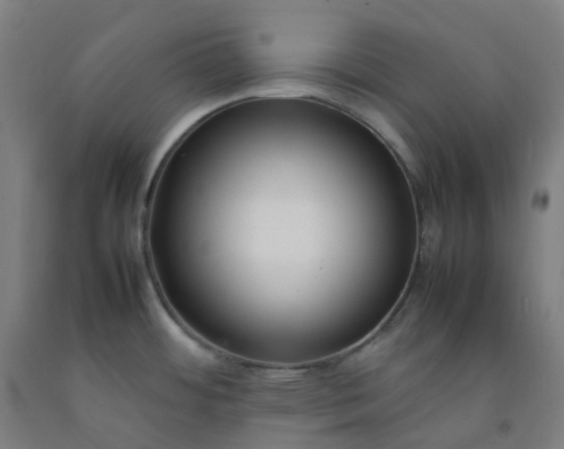 X0000092251484200709281134