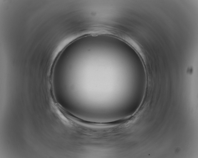 X0000092251485200709281134