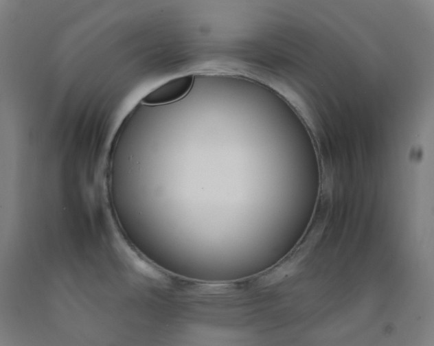 X0000092251486200709281134