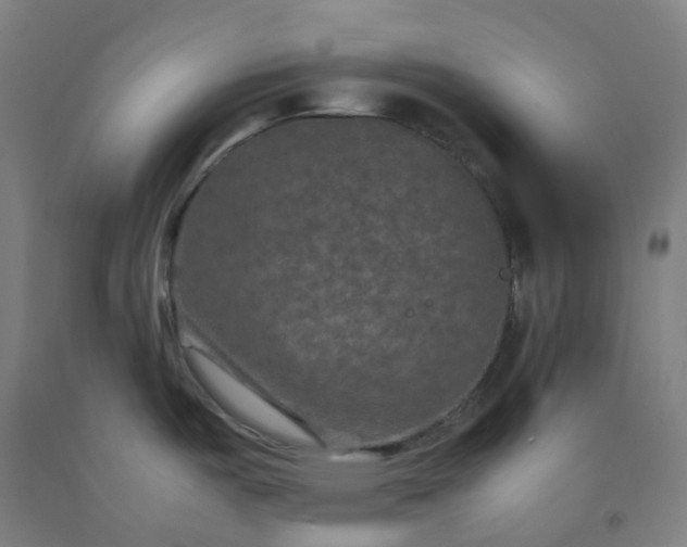 X0000092251487200709281134