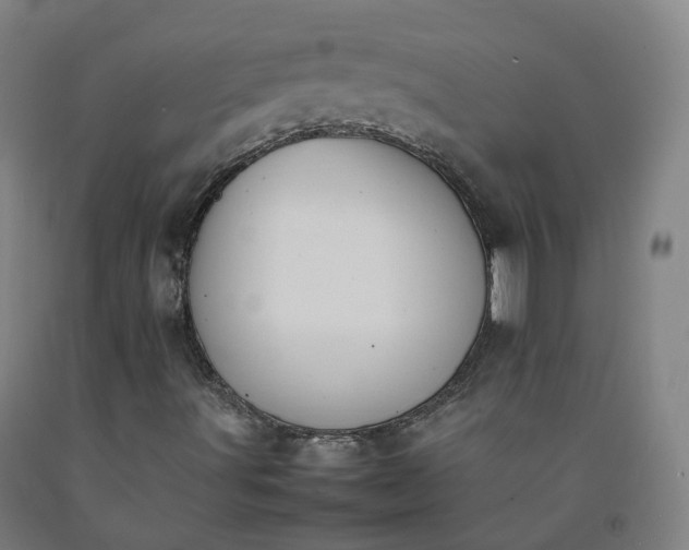 X0000092251491200709281133