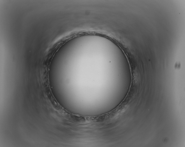 X0000092251494200709281133