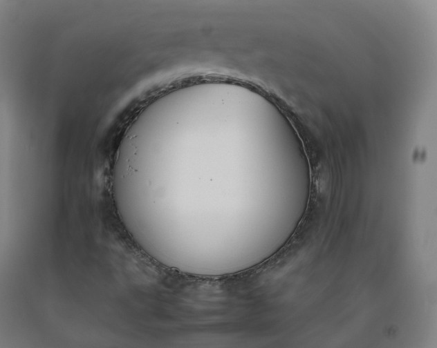 X0000092251495200709281133