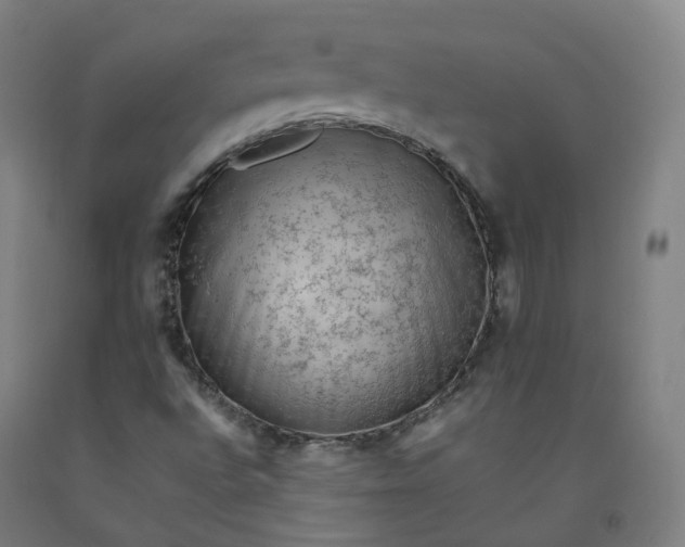 X0000092251496200709281133