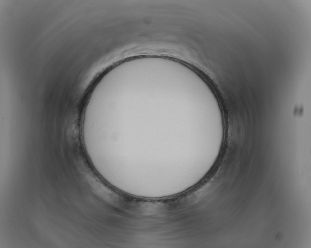 X0000092251498200709281133