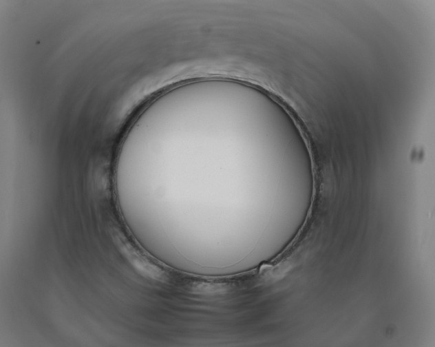 X0000092251499200709281133