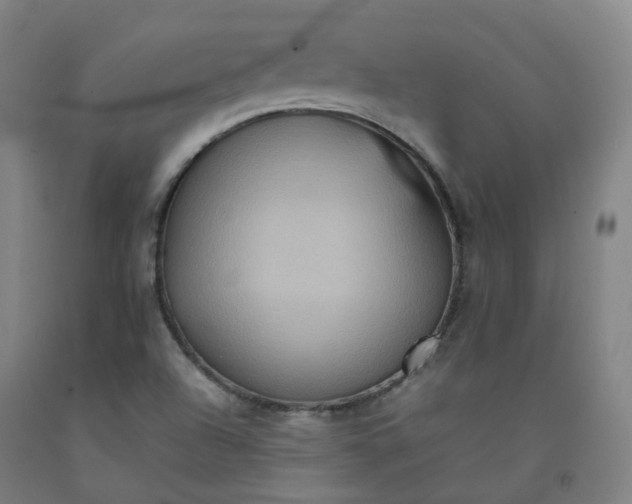 X0000092251504200709281134