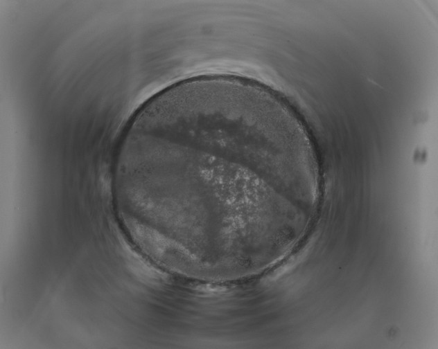 X0000092251505200709281134