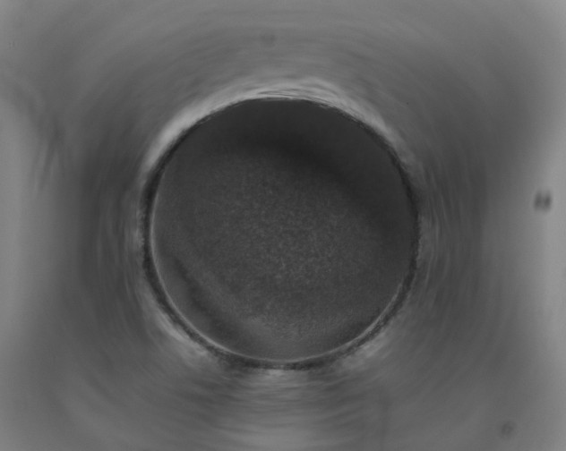 X0000092251506200709281134