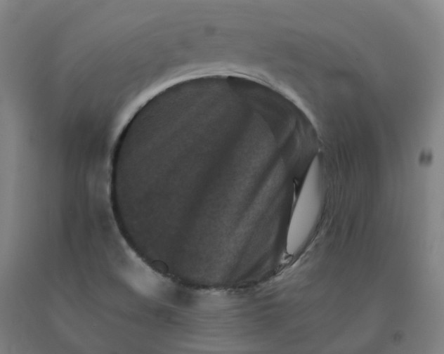 X0000092251508200709281134