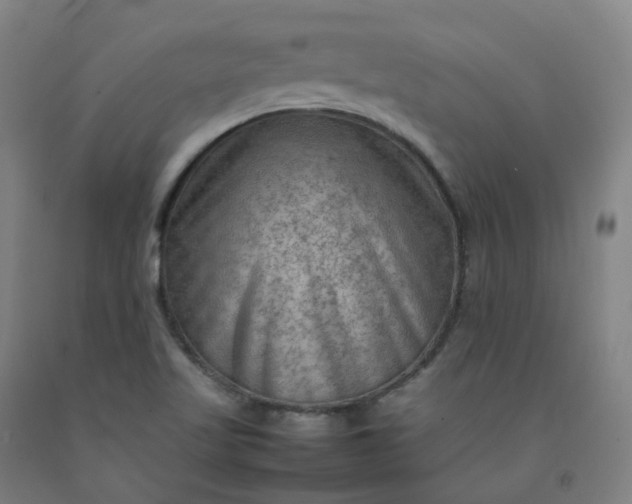 X0000092251509200709281134