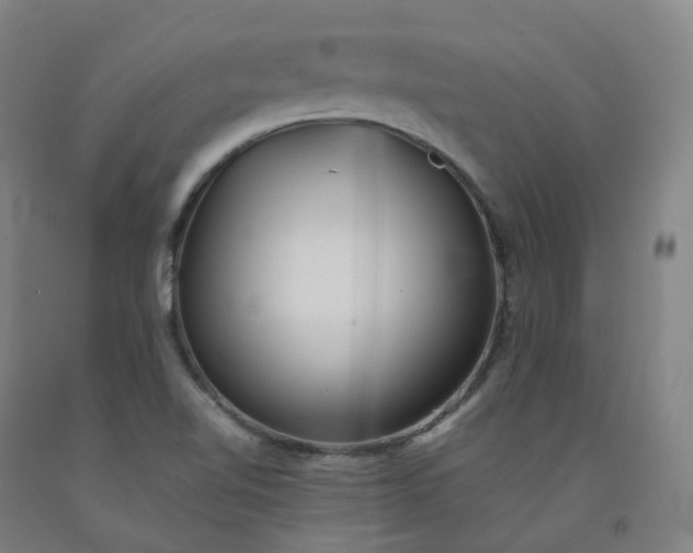 X0000092251510200709281134